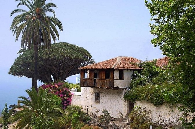 Go West - VIP Private Tour in Tenerife to Masca, Garachico and Icod - Stop 1: Acantilado de los Gigantes, cliff views in a quick hit