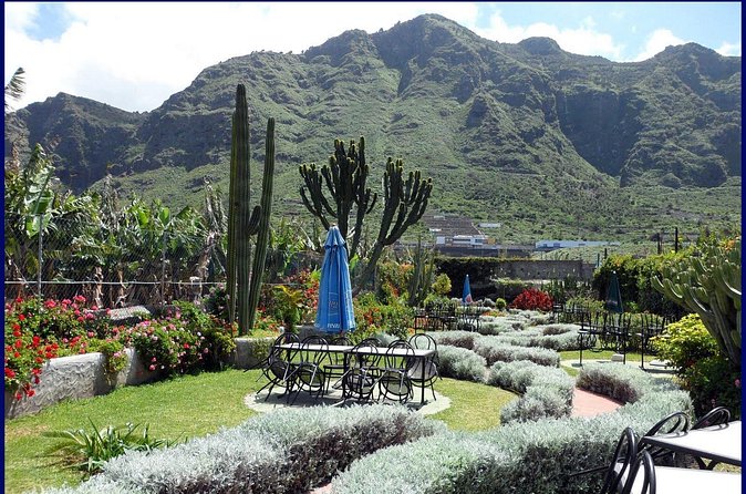 Go West - VIP Private Tour in Tenerife to Masca, Garachico and Icod - Stop 2: Masca Road and Masca Valley, the scenic drive you’ll talk about