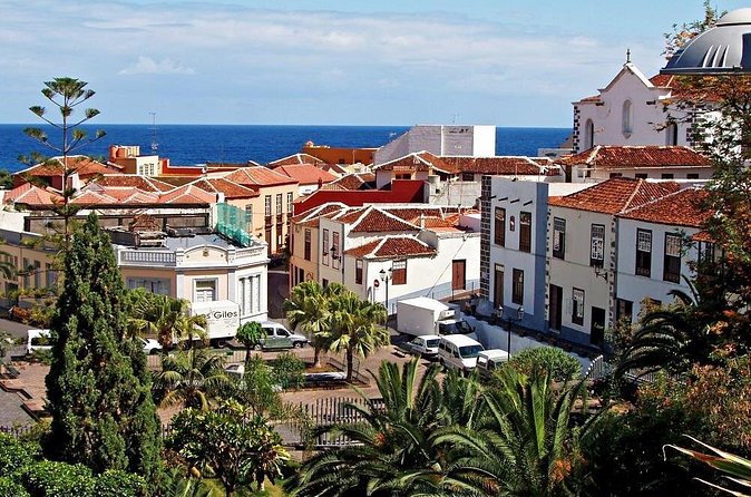 Go West - VIP Private Tour in Tenerife to Masca, Garachico and Icod - Stop 5: Garachico, lava history and the Pompeii of Tenerife feel