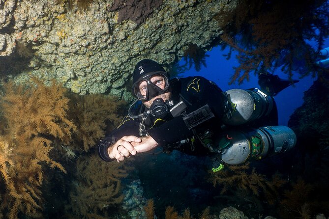 Guided Boat Dives for Certified Divers - Marine life expectations: variety comes from multiple scheduled sites