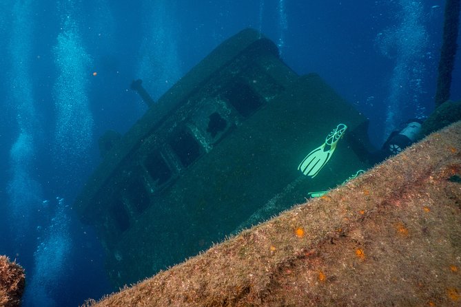 Guided Boat Dives for Certified Divers - Choosing 1 to 10 sessions: how to match your plan to real stamina