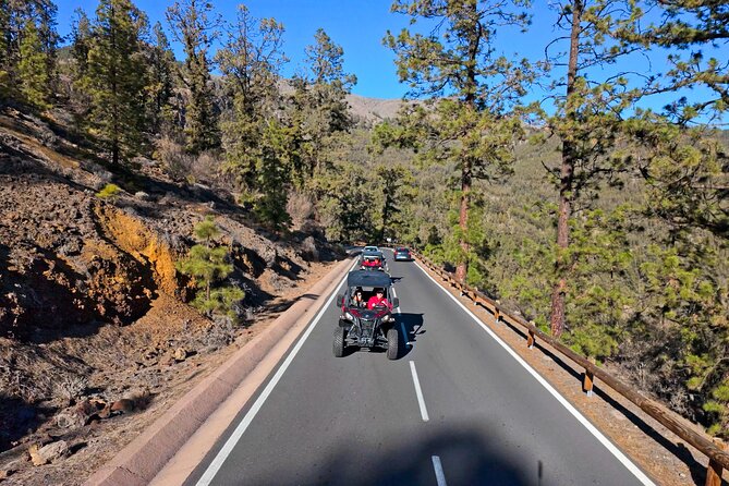 Guided Buggy Tour through Teide National Park - Teide by Buggy: what this half-day experience really feels like