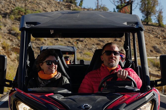 Guided Buggy Tour through Teide National Park - Stop 2 at 2,200 m: panoramic air, photos, and a slower pace