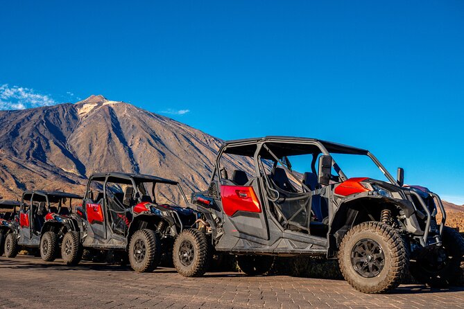 Guided Buggy Tour through Teide National Park - Price and value: $232.33 per group (up to 2) for a guided high-country ride