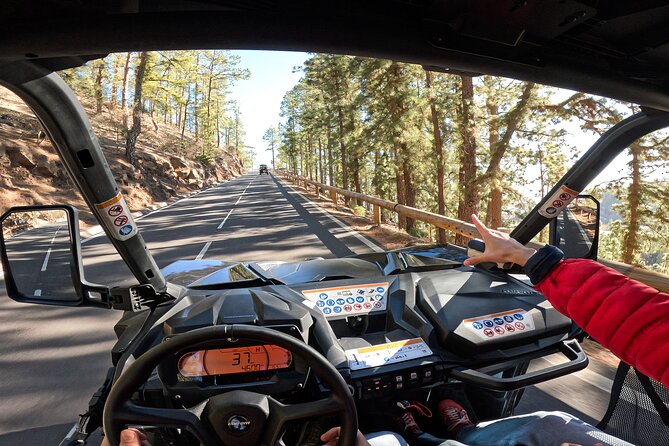 Guided Buggy Tour through Teide National Park - Weather, wind, and what to wear at Teide altitude
