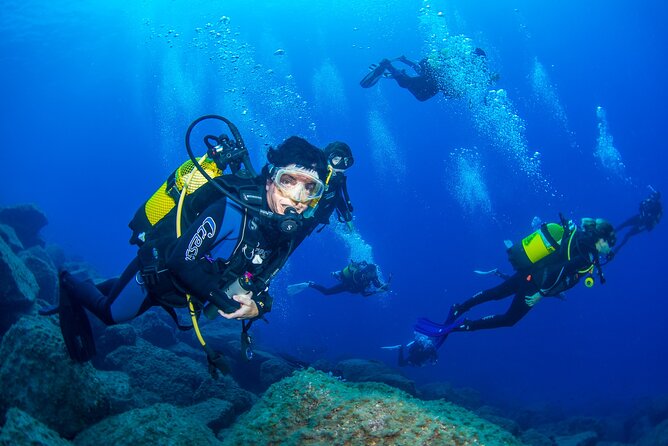 Guided Immersion from Santa Cruz de Tenerife - How the 1st hour briefing sets you up