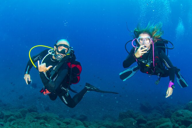Guided Immersion from Santa Cruz de Tenerife - What you can spot near 20 meters, from octopus to trumpet fish