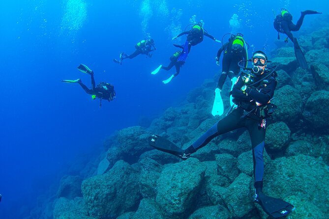 Guided Immersion from Santa Cruz de Tenerife - The 2nd hour underwater plan, 30 to 45 minutes