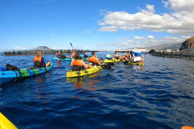 Guided Kayak Tour From Los Cristianos Beach Tenerife - Key things that make this kayak tour work