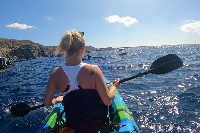 Guided Kayak Tour From Los Cristianos Beach Tenerife - Paddling toward the fish farm zone: where the wildlife odds improve
