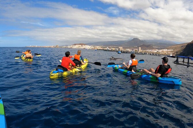 Guided Kayak Tour From Los Cristianos Beach Tenerife - What it’s like on the water: pace, help, and real reboarding moments