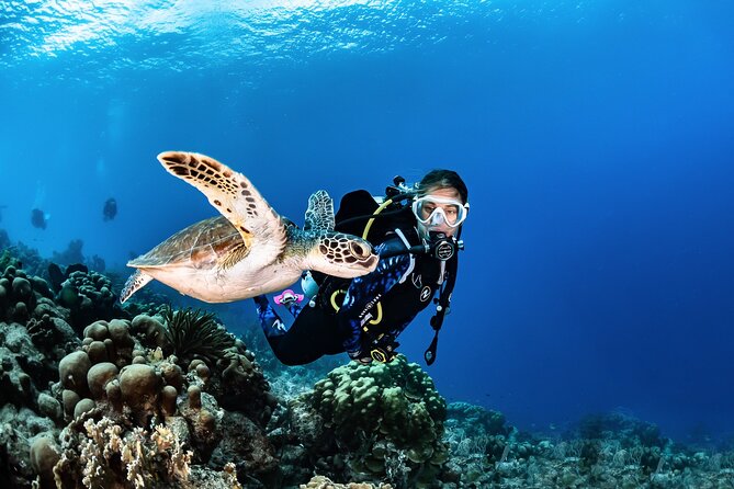 guided Scuba Diving on Tenerife (for certified divers) - Private instructor-led scuba time in Tenerife’s Radazul area