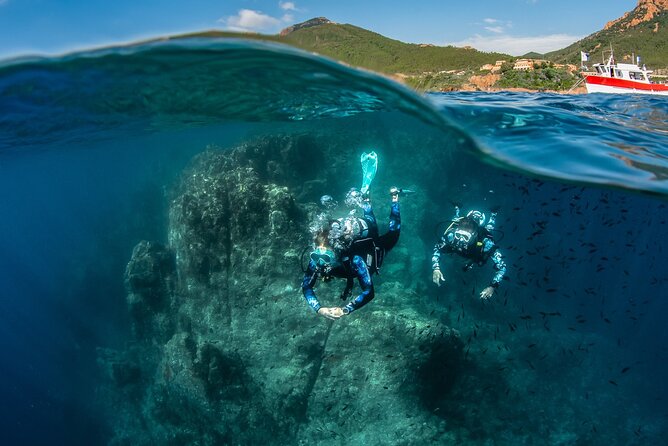 guided Scuba Diving on Tenerife (for certified divers) - Your 6-hour plan, from Scubanana check-in to the best underwater sites