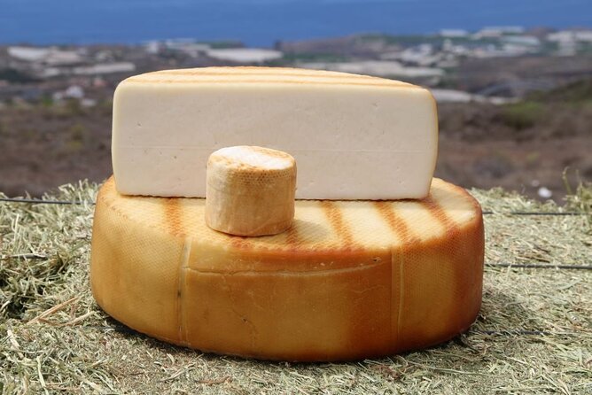 Guided Tour Montesdeoca Cheese Factory - Cheese and Wine Tasting - A 1-hour farm-and-factory visit near Adeje