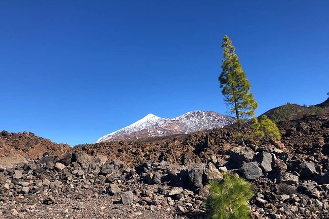 Guided Tour to Teide National Park in Tenerife - Key things you’ll notice on this Teide tour