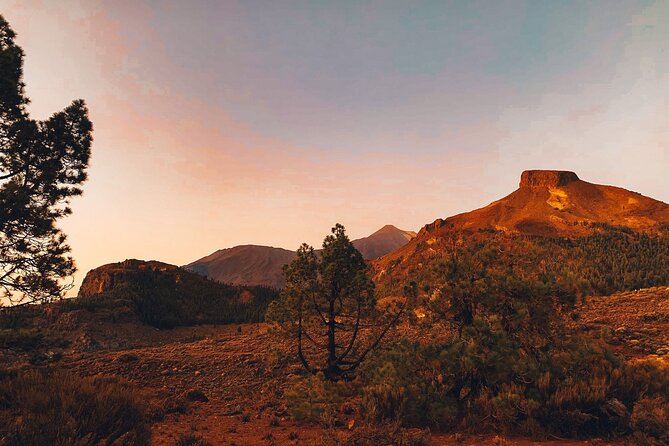 Guided Tour to Teide National Park in Tenerife - A morning start with pickup that actually matters
