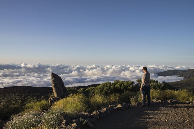 Guided Tour to Teide National Park in Tenerife - Teide National Park: how the optional summit cable car changes the day