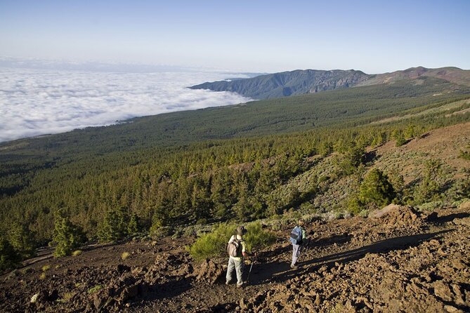 Guided Tour to Teide National Park in Tenerife - Coach time, narrow roads, and why the schedule can feel long