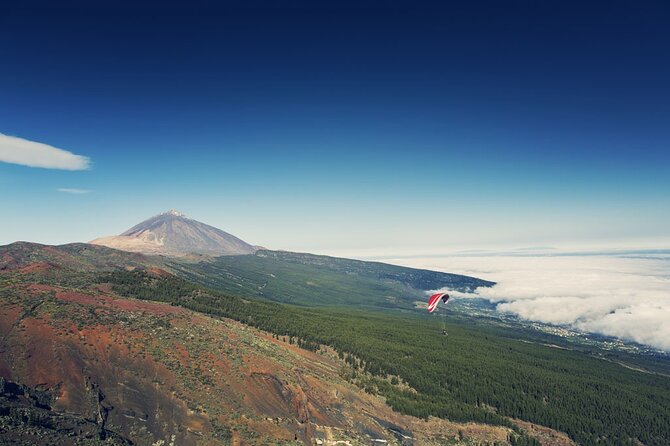 Guided Tour to Teide National Park in Tenerife - Price and value: $66.08 gets you the guided structure, not the summit