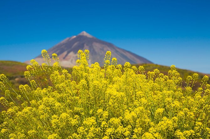 Guided Tour to Teide National Park in Tenerife - Roques de García and Las Cañadas del Teide: the views that feel unreal