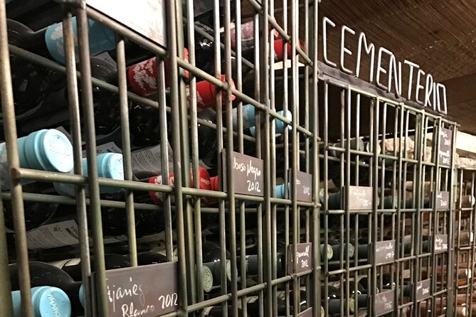 Guided Tour with 6 Wine Tasting - The Terrace Stage of Winemaking: Seeing the First Steps