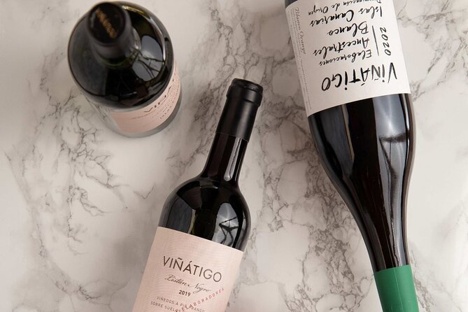 Guided Tour with 6 Wine Tasting - Price and Value: Is $48.19 Fair for What You Get?