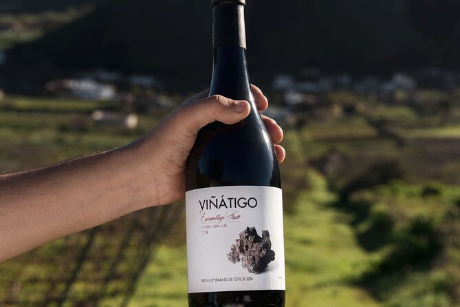 Guided Tour with 6 Wine Tasting - Who This Tour Suits Best (And Who Might Skip It)