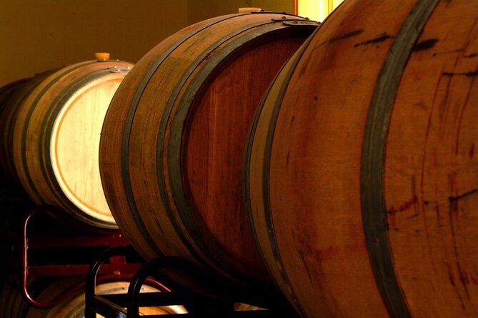 Guided Tour with 6 Wine Tasting - Practical Tips Before You Go