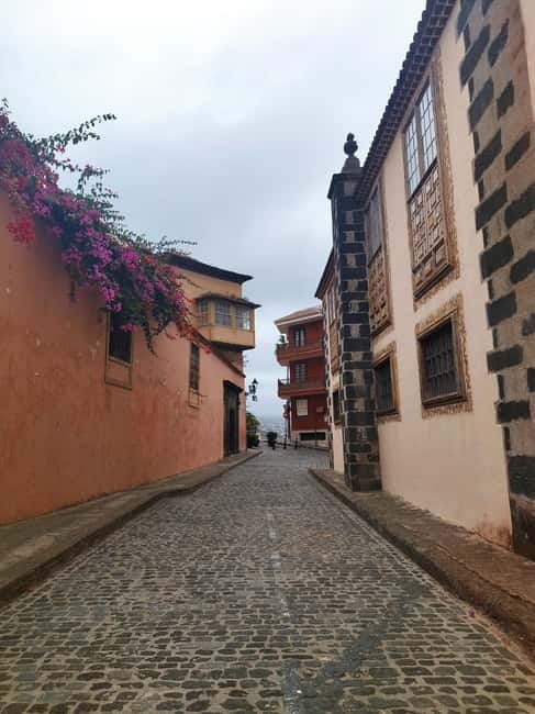 Guided walking tour in La Orotava 1:30 min, Tenerife - Jardines Victoria, why this garden is treated as special on the tour