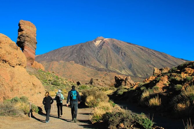 Half-day excursion to Teide National Park - Key highlights before you go