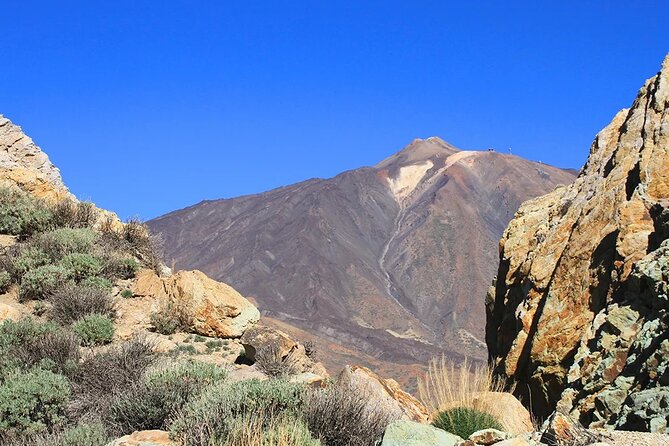 Half-day excursion to Teide National Park - Los Roques de García: the foot-of-Teide stop for close-up geology