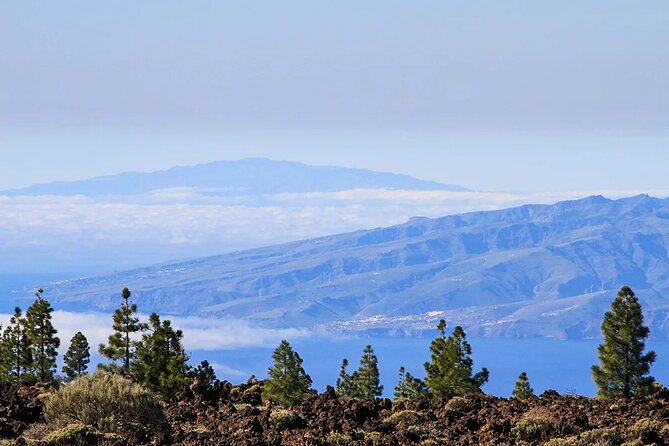 Half-day excursion to Teide National Park - Guide and driver quality: what makes the experience feel effortless