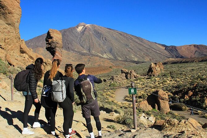 Half-day excursion to Teide National Park - The drive from the coast into pine forests and Vilaflor