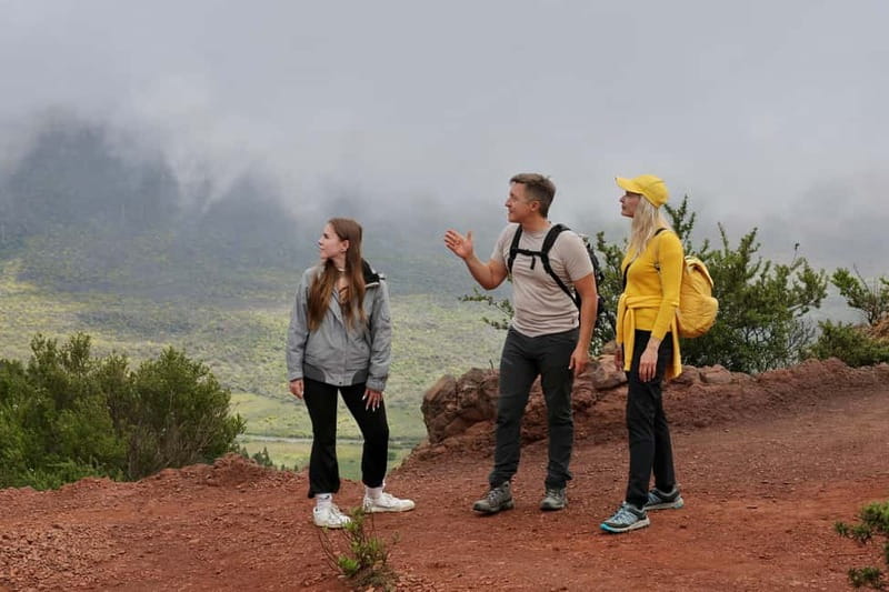 Hike above Masca through relict woods. SMALL GROUPS. - Teno Mountains above Masca, in a small group of 6
