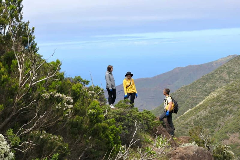 Hike above Masca through relict woods. SMALL GROUPS. - The “secret trail” factor and the main 360-degree lookout
