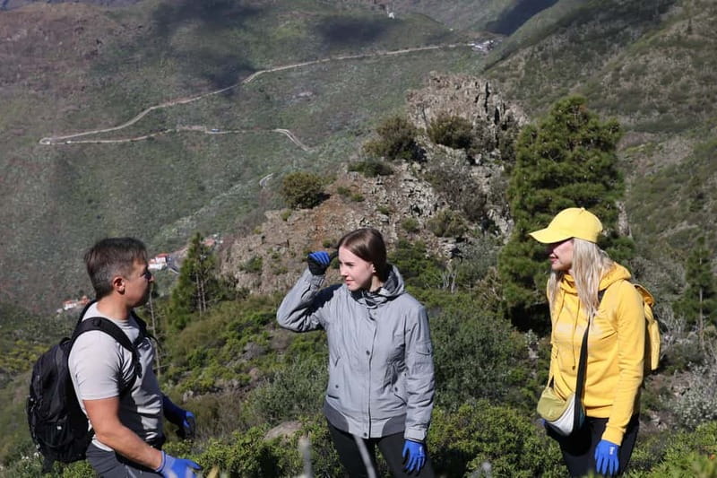 Hike above Masca through relict woods. SMALL GROUPS. - Small-group guiding, and why it matters on this route