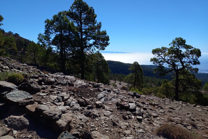 Hiking in Tenerife's Great Outdoors - The walk in numbers: 12 km, 600 m, and what that means in real life