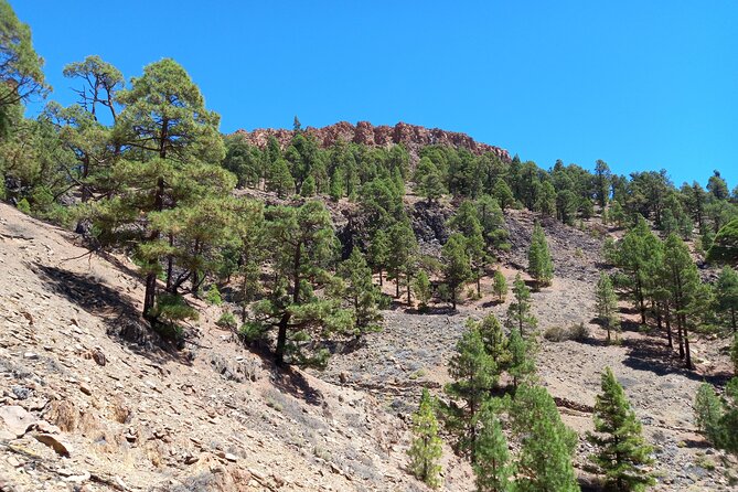 Hiking in Tenerife's Great Outdoors - Picture stops that actually improve the day