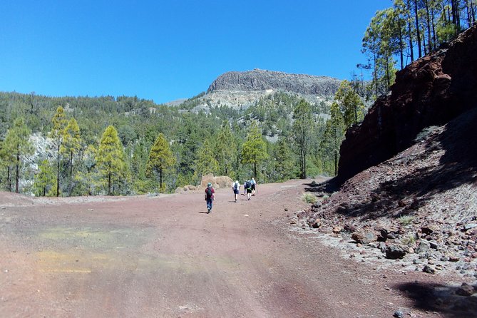 Hiking in Tenerife's Great Outdoors - Stop 1: Teide National Park, and why it’s the right place for a guided hike