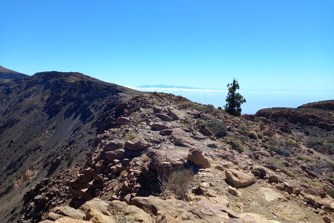 Hiking in Tenerife's Great Outdoors - Logistics that make the morning painless: pickup and transport