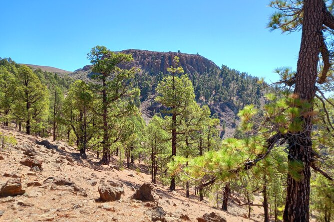 Hiking in Tenerife's Great Outdoors - What to bring when hiking gear is not included