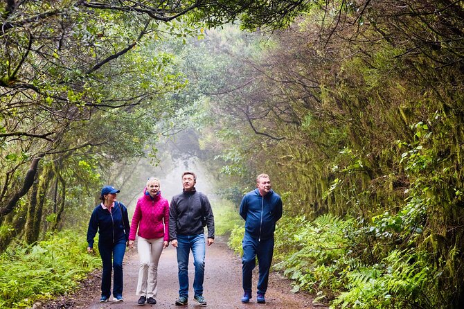 Hiking over Masca through laurel relict woods.Roque de Tarucho. - From Santiago del Teide to the Natural Park of Teno, you start with less hassle