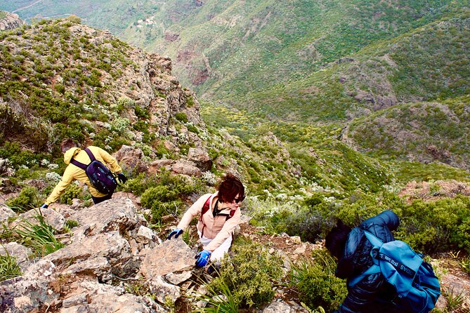 Hiking over Masca through laurel relict woods.Roque de Tarucho. - Who this hike is best for, and who should skip it