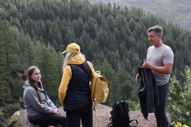Hiking over Masca through laurel relict woods.Roque de Tarucho. - Should you book the Roque de Tarucho hike?