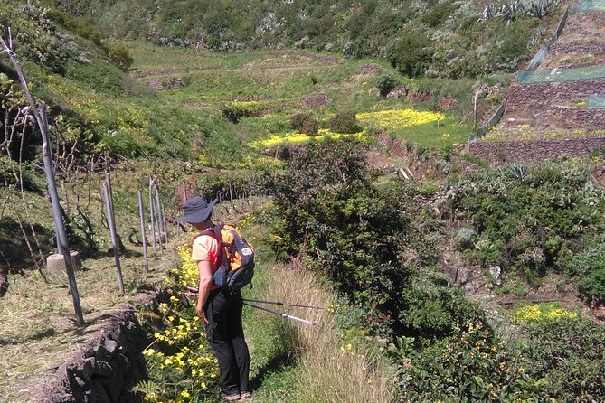 Hiking tour in the Anaga biosphere reserve in Tenerife - Entering Anaga Rural Park From La Laguna (Without the Tour Bus Vibe)