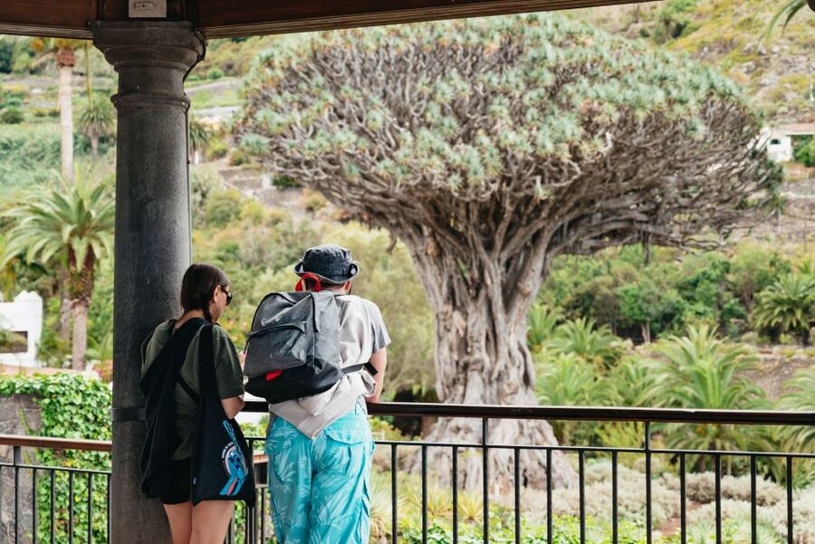 Icod de los Vinos: Dragon Tree & Botanical Garden Ticket - Price and value: why $5 can make sense here