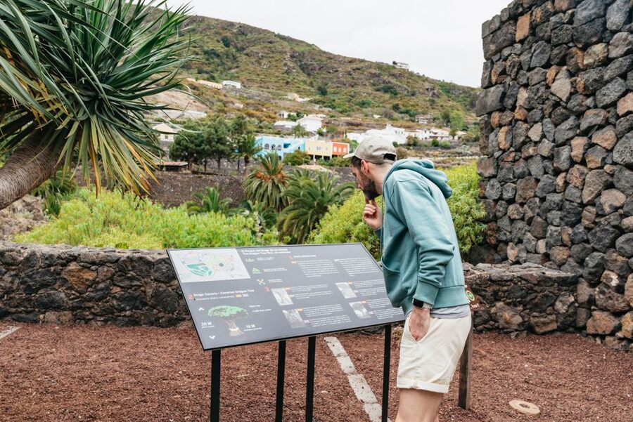 Icod de los Vinos: Dragon Tree & Botanical Garden Ticket - Who should book this ticket, and who should skip it