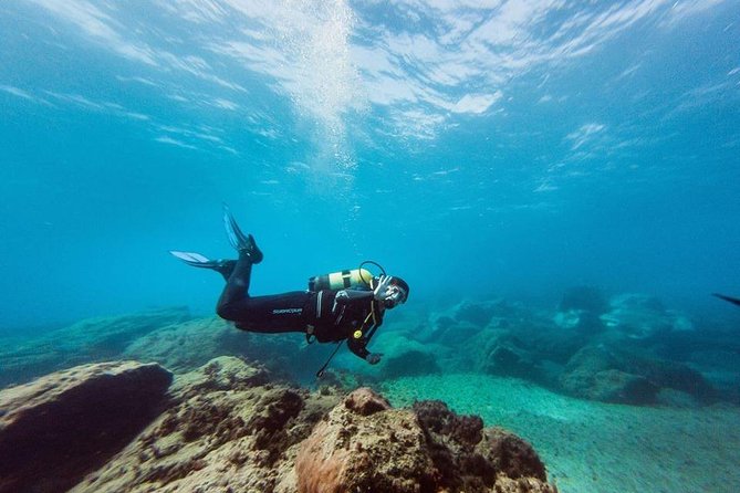 Immersion Certified Diver - Key Things That Make This Tour Worth Your Time