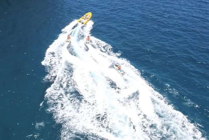 Jet Ski Safari South Tenerife - Wildlife chances: dolphins, turtles, and the occasional whale
