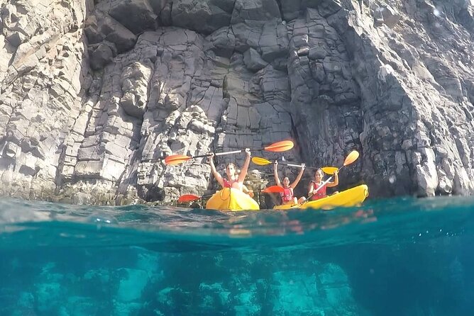 Kayak Safari with Dolphin and Turtle Watching in Guaza - Price and Value: Why Around $46 Can Still Be a Smart Buy
